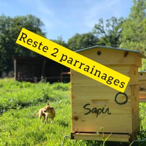 Sapin – Image 2