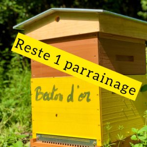 Bouton d'or
