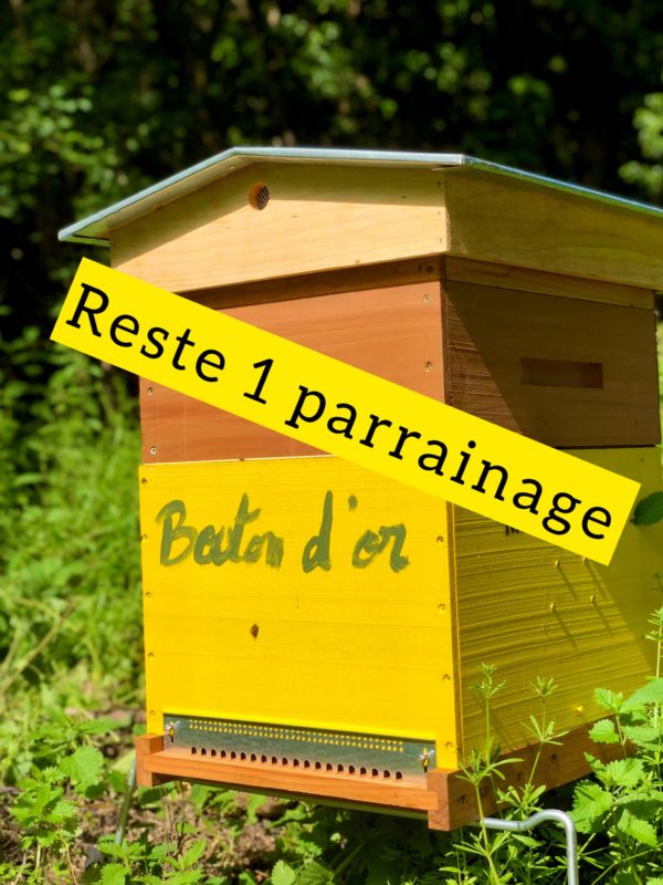 Bouton d'or