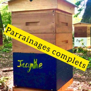 Jacynthe – Image 3