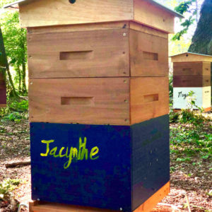 Jacynthe